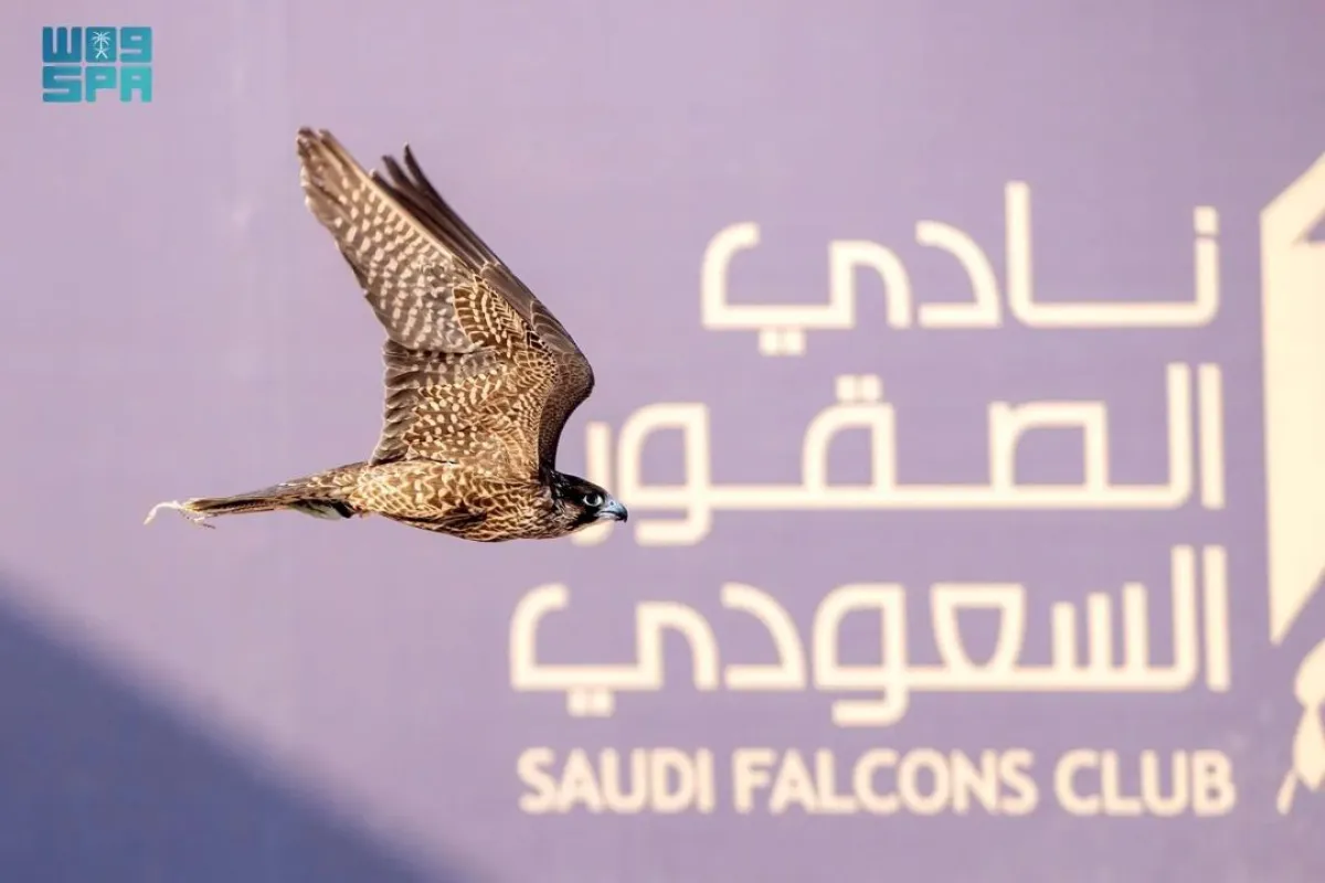 المنطقة الشرقية تستضيف كأس نادي الصقور السعودي 2025