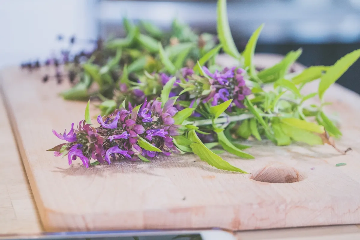 فوائد عشبة الناردين لا يمكنكِ تخيّلها Image By Freepik