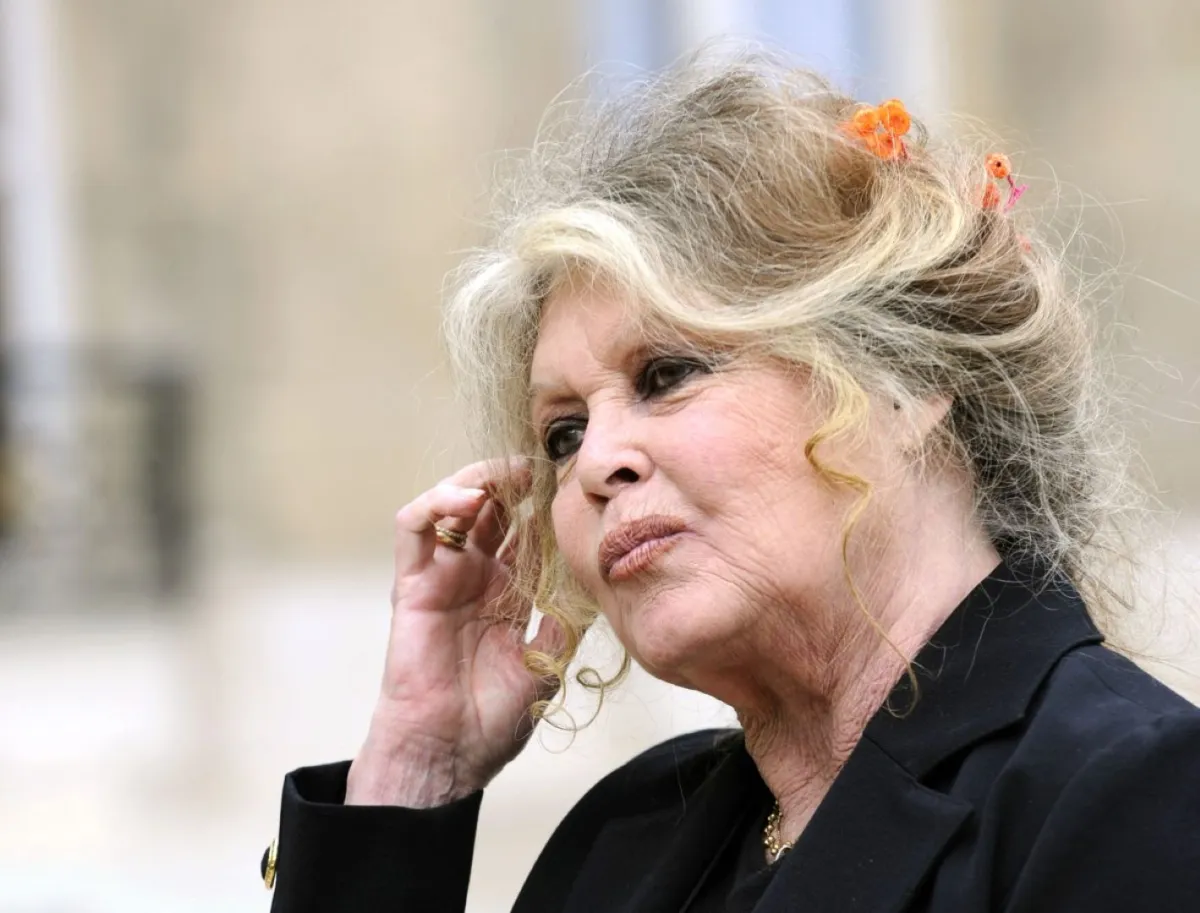 بريجيت باردو في باريس (Brigitte Bardot in Paris). مصدر الصورة: ERIC FEFERBERG / AFP