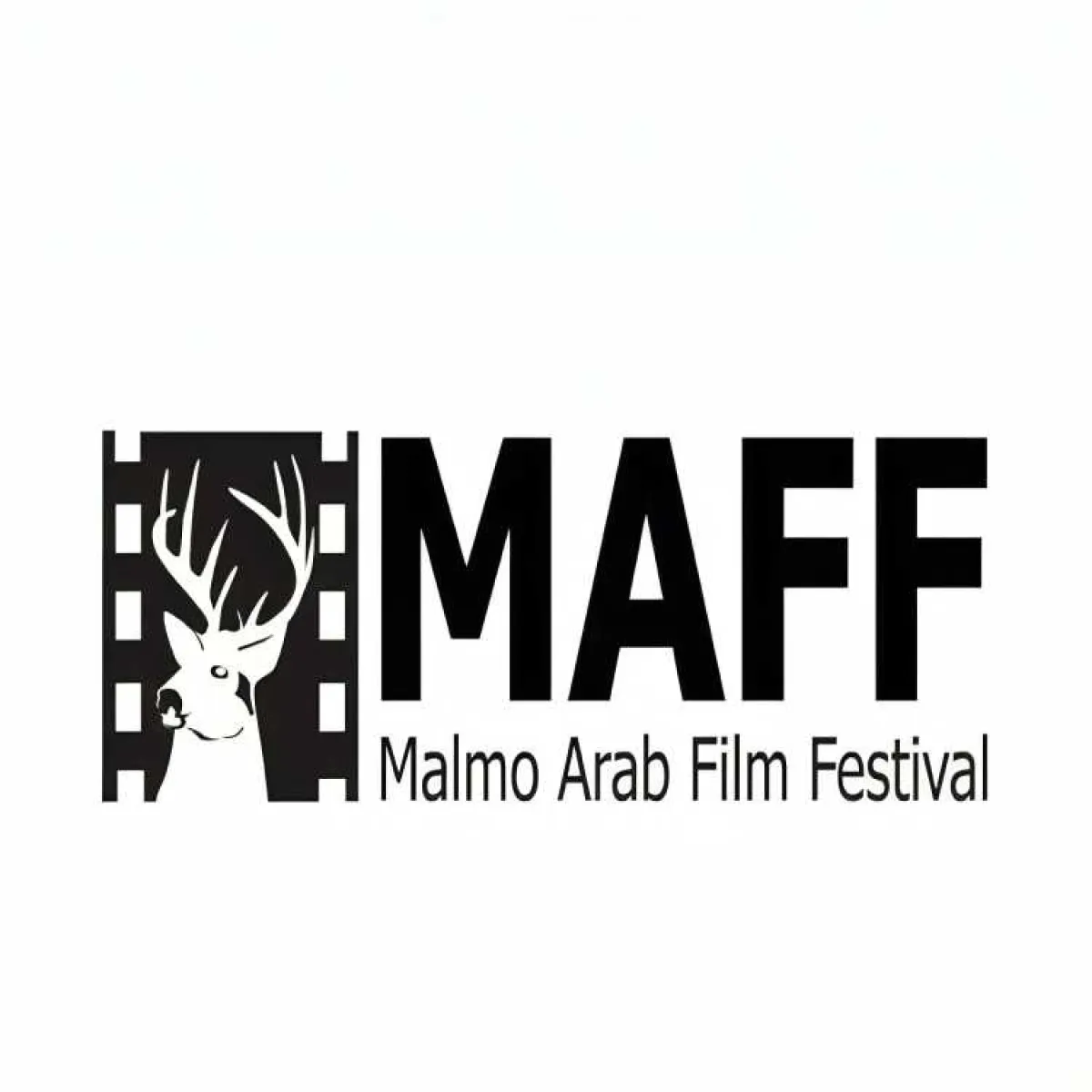 مهرجان مالمو للسينما العربية - الصورة من الصفحة الرسمية للمهرجان على "فيسبوك"