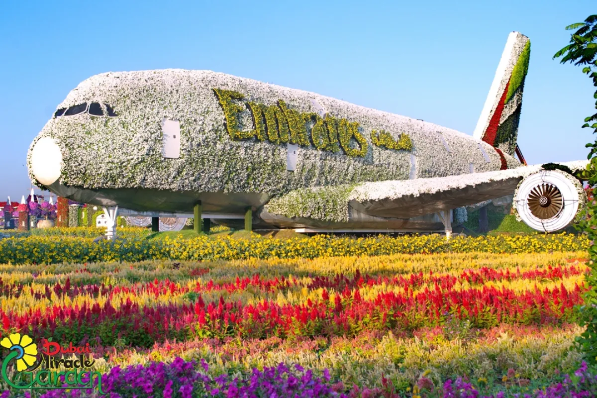 دبي ميراكل جاردن 