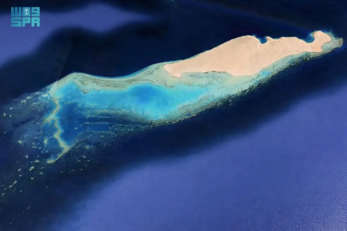 جزيرة النعمان