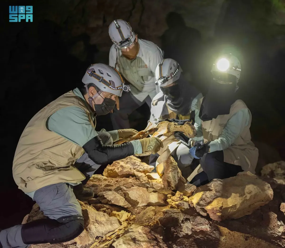 اكتشاف 7 فهود محنطة داخل كهوف في السعودية - الصورة من وكالة الأنباء السعودية "واس"