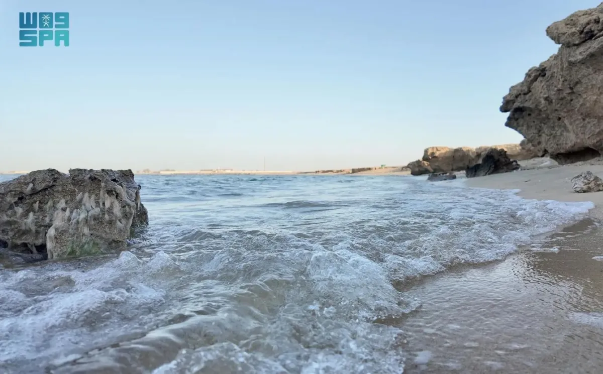 شاطئ الشعيبة