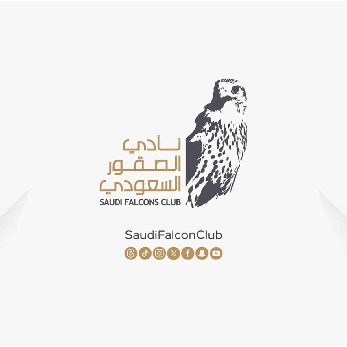 نادي الصقور