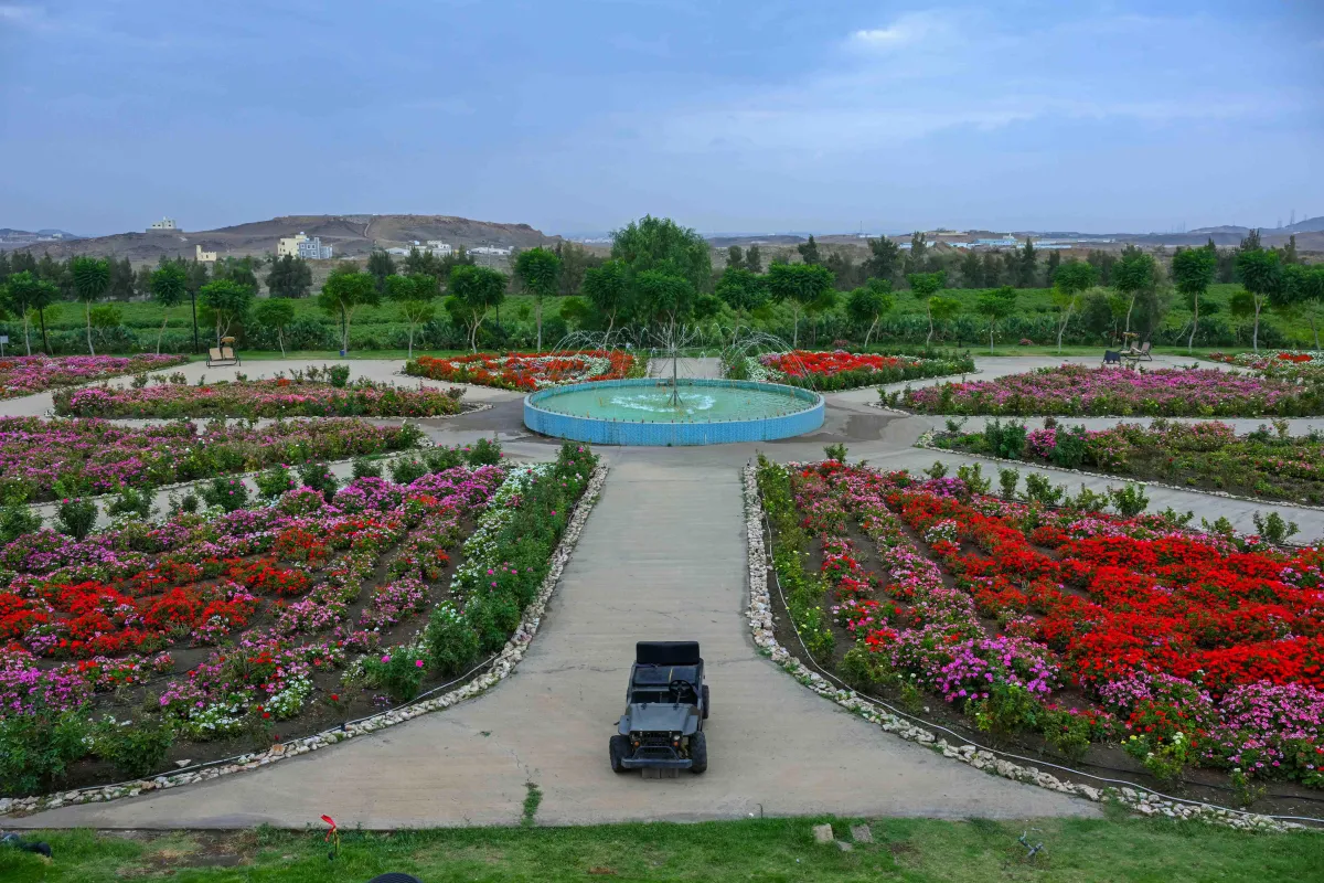 مزرعة الورد في أبها