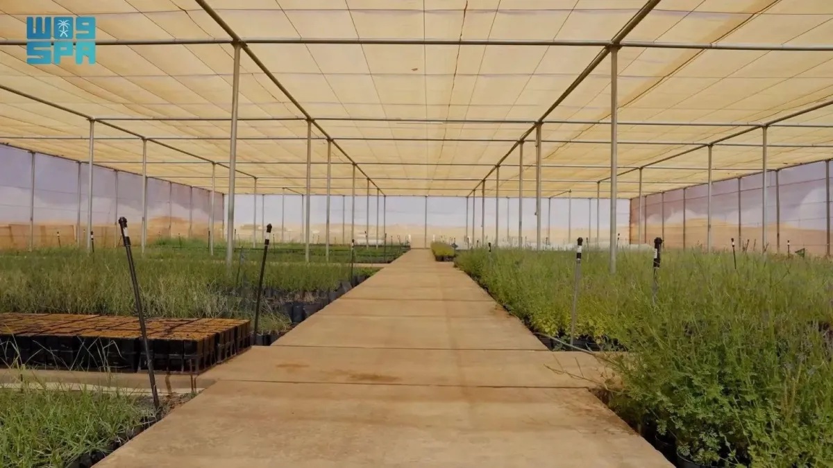 مشتل النباتات وبنك البذور