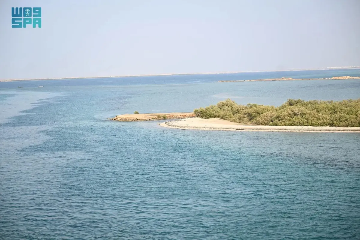 جزيرة فرسان