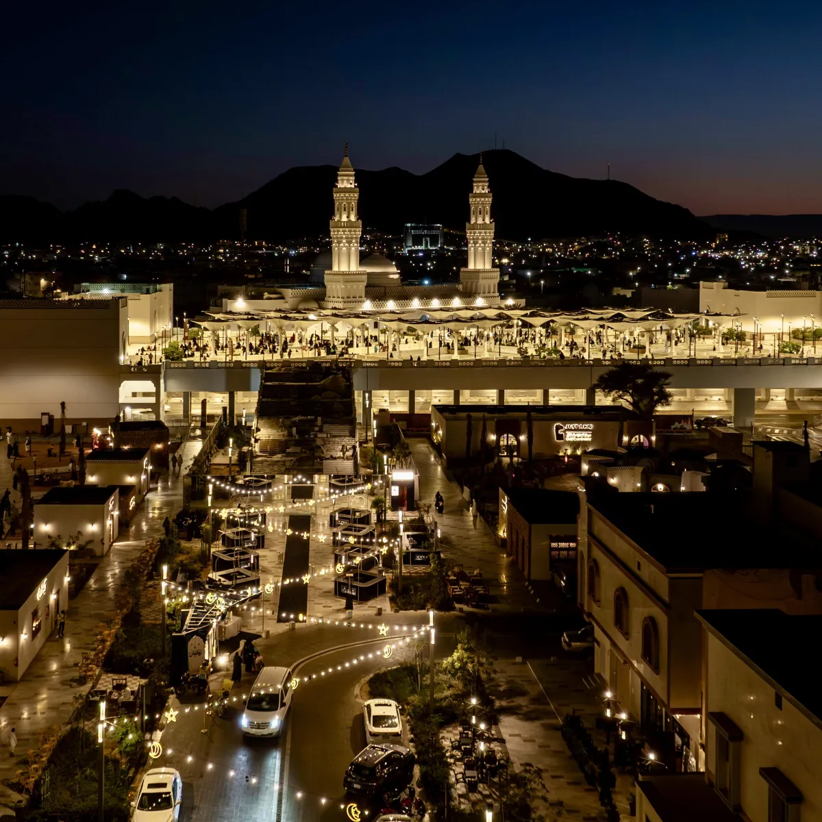 المدينة المنورة