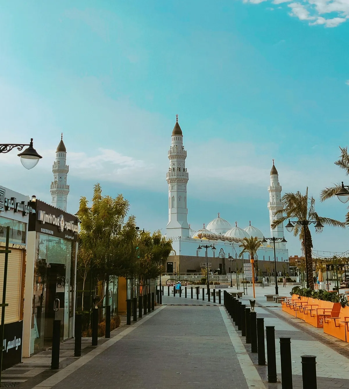 المدينة المنورة