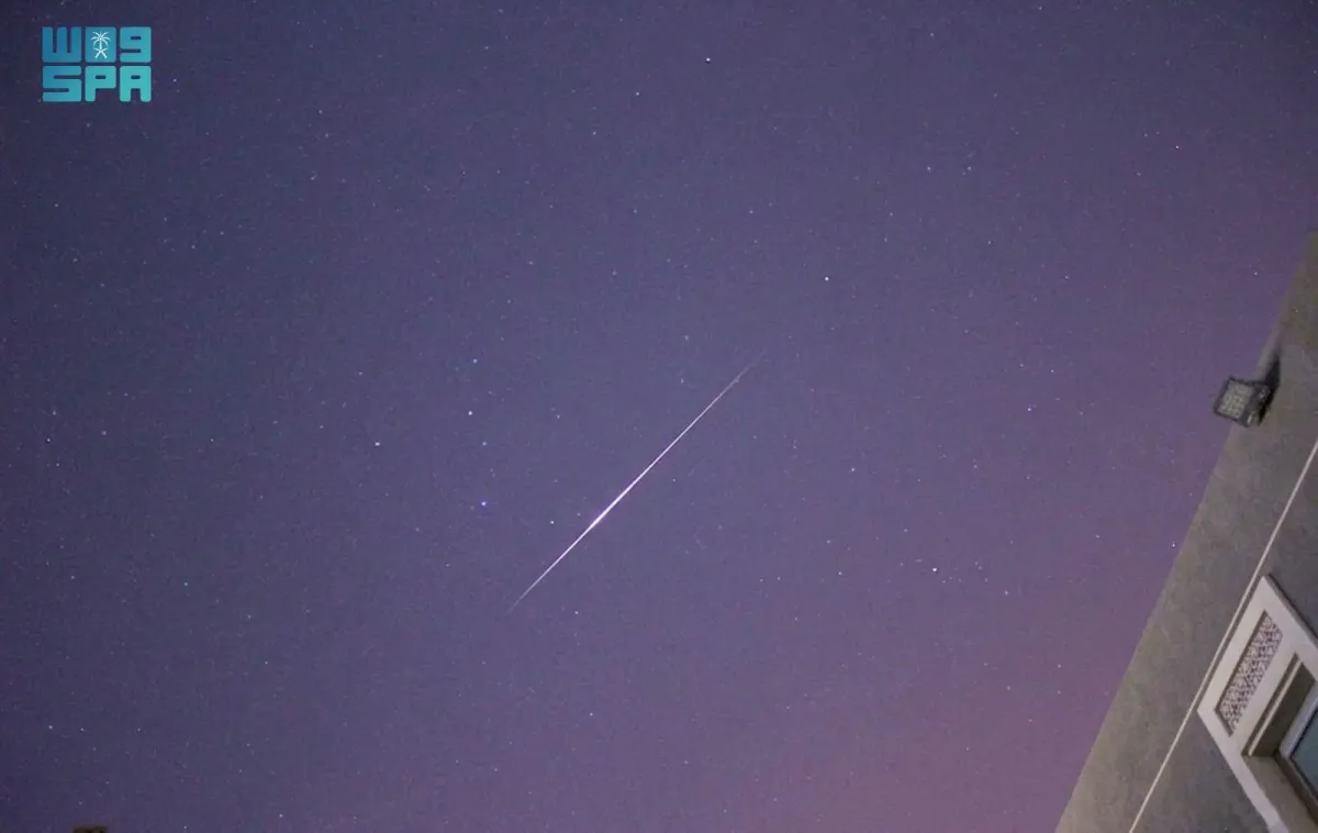 القيثاريات 