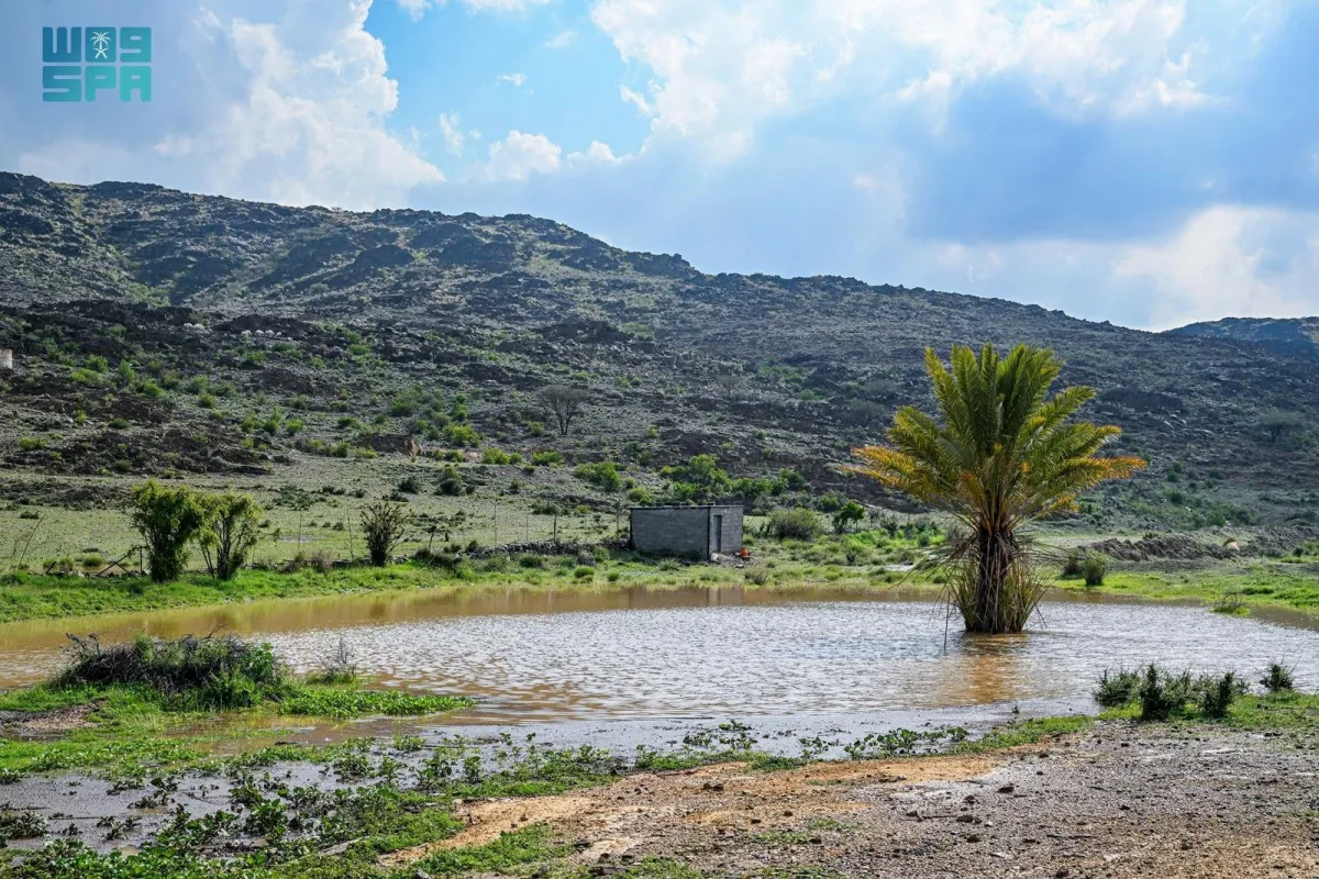رسمت الأمطار في الباحة لوحة طبيعية مذهلة (مصدر الصورة: واس)