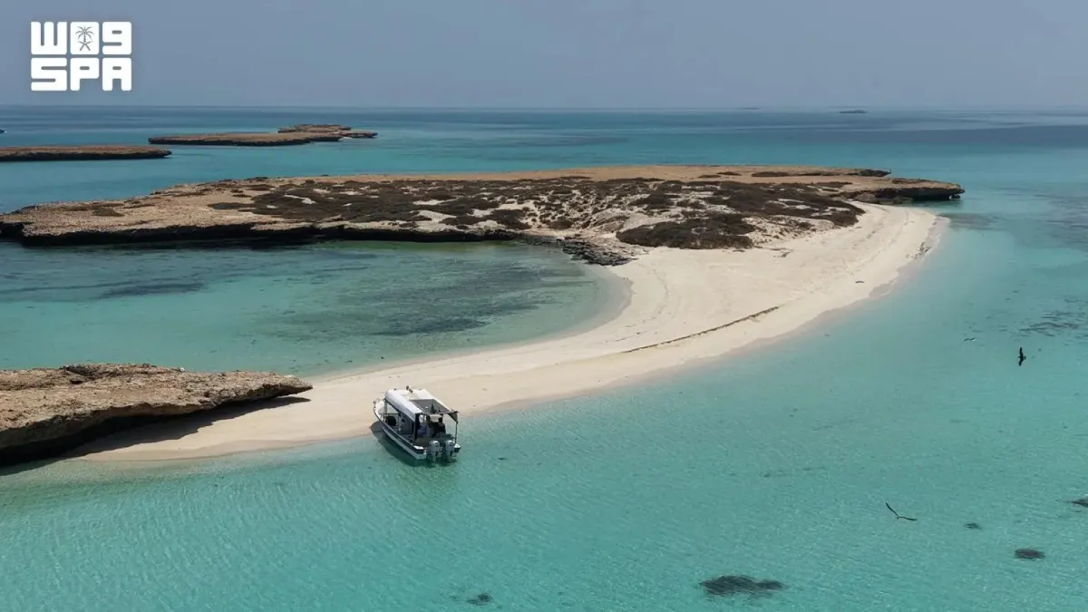 جزيرة أبو شوراية