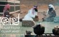 عرض فيلم "جود" في السينما السعودية مجاناً باليوم الوطني