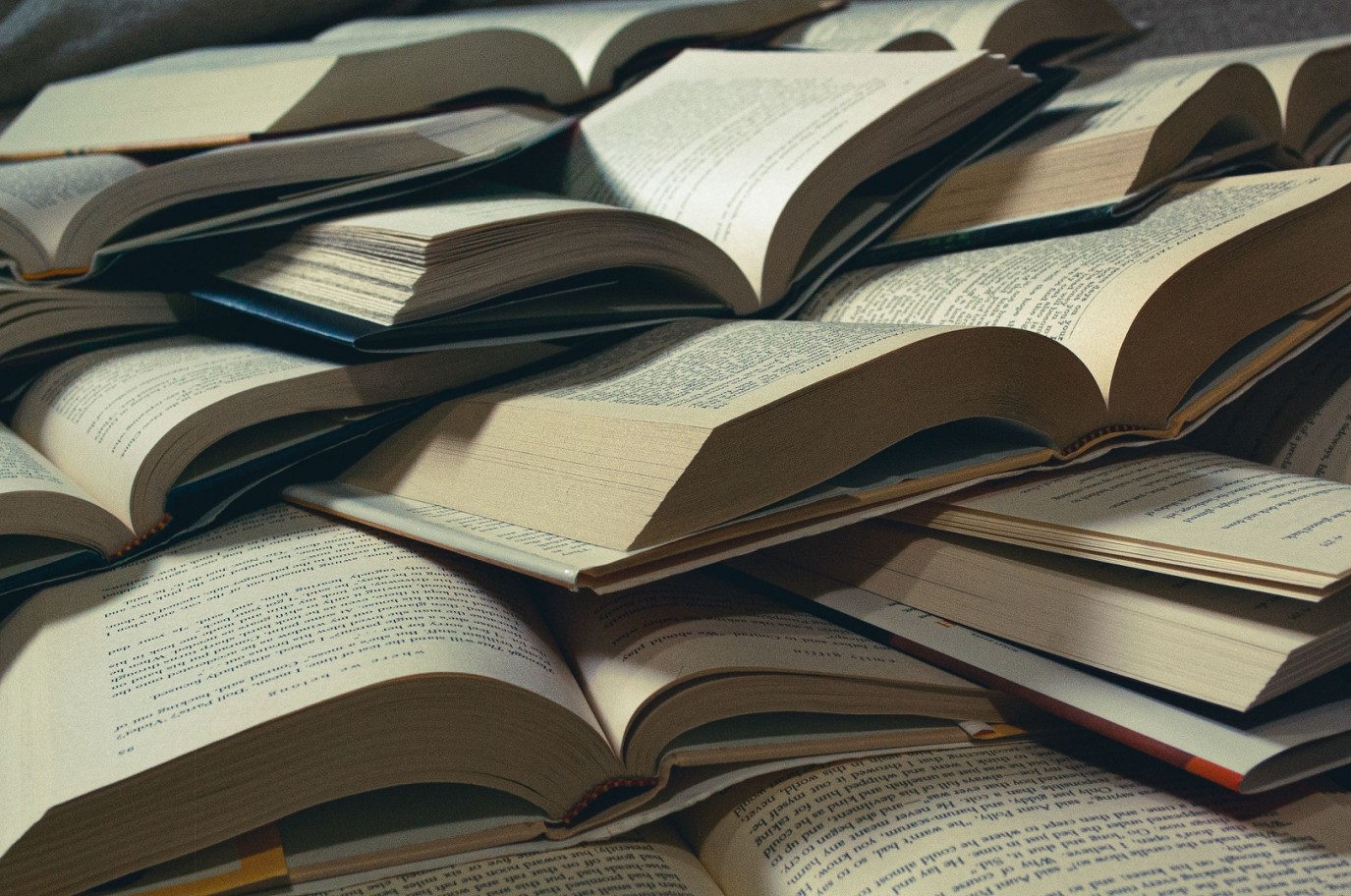 لحماية مكتبتك المنزلية: دليلك للتخلص من حشرات تتغذى على الكتب