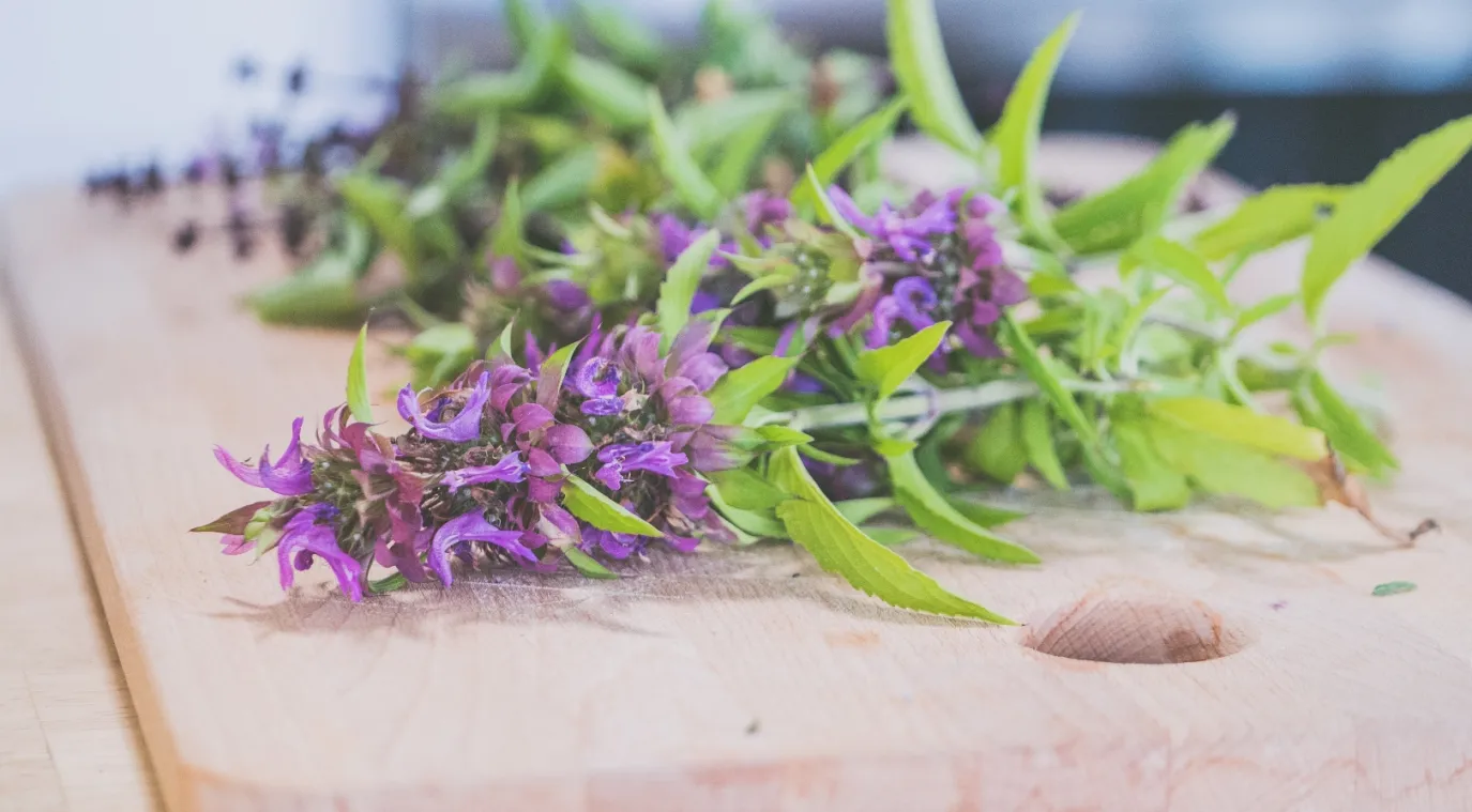 فوائد عشبة الناردين لا يمكنكِ تخيّلها Image By Freepik