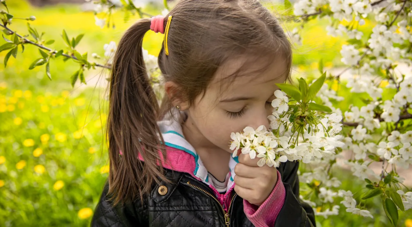 صورة طفلة تشم الرائحة
