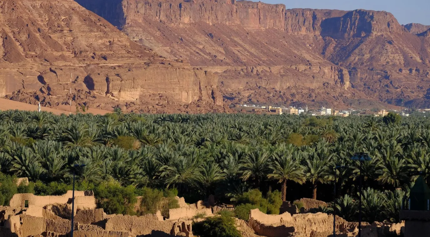 العلا