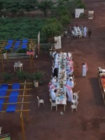 مزارع جازان الريفية