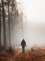 حلم نسيان الطريق - مصدر الصورة: Freepik by rawpixel.com