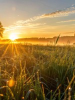 تفسير حُلم شروق الشمس في المنام