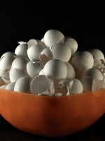 مجموعة من قشور البيض جاهزة للاستخدام في تنظيف المنزل