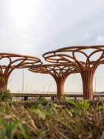 عمل "شجرة العائلة" للفنان سوبوده غوبتا في مركز الملك عبدالله المالي