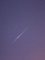 القيثاريات 