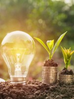 النموّ من خلال الابتكار الأخضر