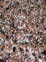 الحجاج- الصورة من واس 