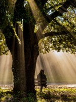 أعمق العبارات وأكثرها تأثيراً عن الحياة- الصورة من موقع Magnific 