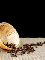 زيت القرنفل لتعطير المنزل وطرد الحشرات وإزالة العفن السطحي