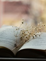 كتاب مفتوح  به بعض الزهور الصغيرة 