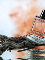 عطور المسك- مصدر الصورة موقع Magnific