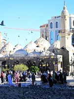 المدينة المنورة