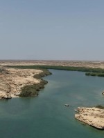 المدن السعودية