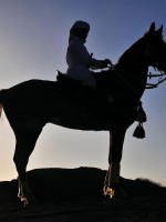 عدسات المبدعين توثق مشاهد خلابة لنجران في يوم التصوير العالمي (مصدر الصورة: واس)
