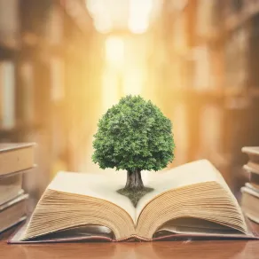 محو الأمية حق أساسي من حقوق الإنسان وهو ما أقرته الأمم المتحدة