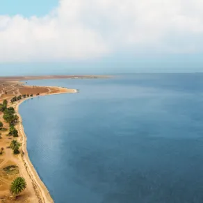 انطلاق مهرجان "رملية" بالسعودية انطلاق مهرجان "رملية" بالسعودية