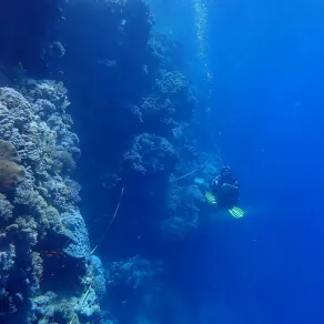 لدراسة تمثل نقلة نوعية في القدرة على مراقبة وحماية البحر الأحمر