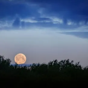 القمر العملاق - الصورة تعبيرية من موقع unsplash القمر العملاق