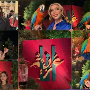 بريق النجوم يلمع في سماء أنا عربية بريق النجوم يلمع في سماء أنا عربية