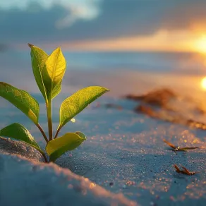 الأمل هو البساط السحري الذي ينقلنا من اللحظة الحالية إلى عالم الاحتمالات اللامتناهية الأمل هو البساط السحري الذي ينقلنا من اللحظة الحالية إلى عالم الاحتمالات اللامتناهية