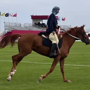 مشهد من عرض الافتتاح الرسمي