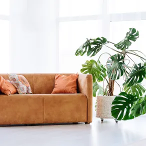 تنظيف الكنب العناية بالكنب