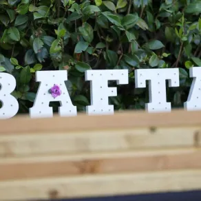 ترشيحات جوائز البافتا. مصدر الصورة: Faraone/Getty Images/AFP Phillip Faraone / GETTY IMAGES NORTH AMERICA / Getty Images via AFP