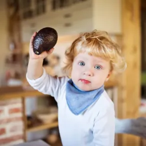 لا يحب معظم الأطفال ثمار الأفوكادو رغم فوائدها الغذائية صورة لطفل يمسك بحبة أفوكادو