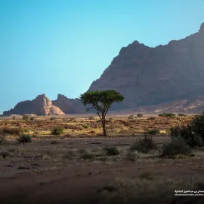 هيئة تطوير محمية الملك سلمان بن عبدالعزيز الملكية - الصورة من حساب هيئة تطوير محمية الملك سلمان بن عبدالعزيز الملكية على منصة إكس