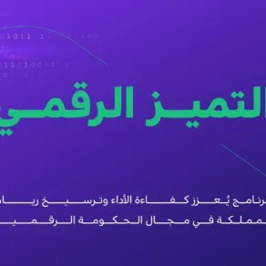 التميز الرقمي