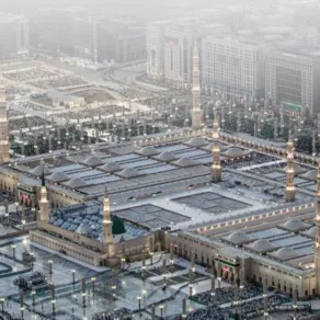 المسجد النبوي الشريف - الصورة من حساب الهيئة العامة للعناية بشؤون الحرمين - المسجد النبوي على "إكس" رئاسة الشؤون الدينية بالمسجد النبوي تدشن مركز الوعي بآداب وأحكام الزيارة